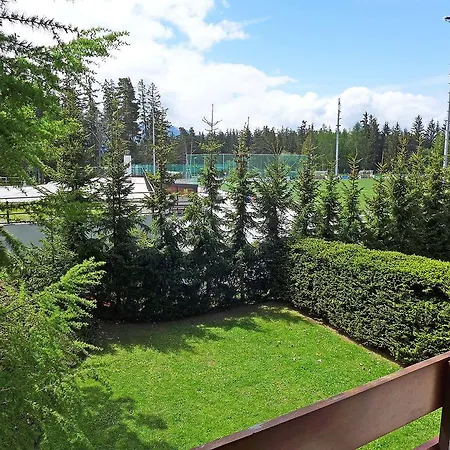 Apartament Apartment Mont-Tana Crans-Montana